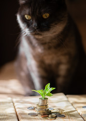 Similar image 21475204