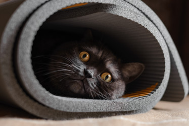 Similar image 21475205