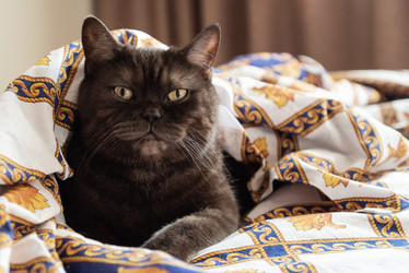 Similar image 21475208