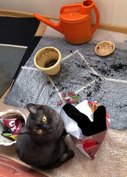 Similar image 21475209