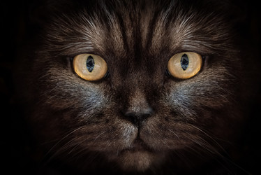 Similar image 21475211