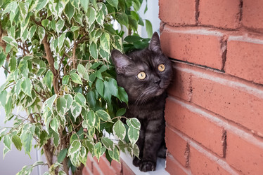 Similar image 21475212