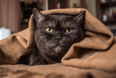 Similar image 21475213