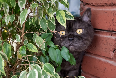 Similar image 21475214