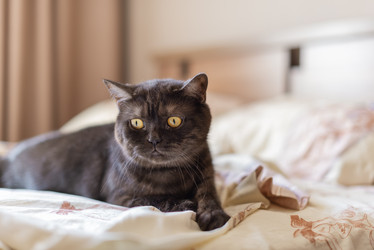 Similar image 21475215