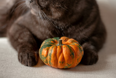 Similar image 21475217