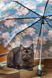 Similar image 21475218