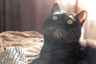 Similar image 21475219