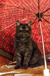 Similar image 21475220