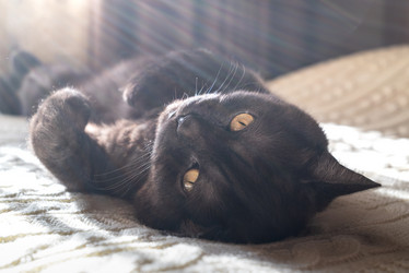 Similar image 21475221