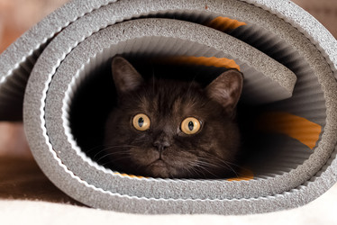 Similar image 21475224