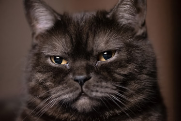 Similar image 21475226