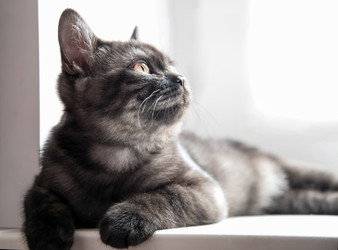 Similar image 21475229