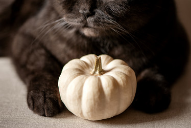 Similar image 21475231