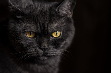 Similar image 21472716