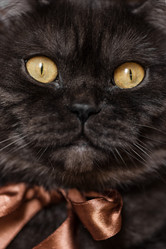 Similar image 21475233