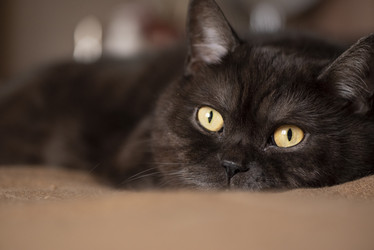 Similar image 21475234