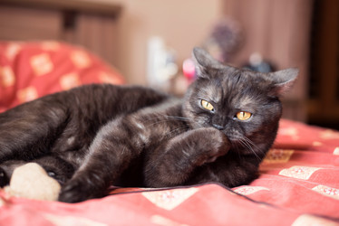 Similar image 21476707