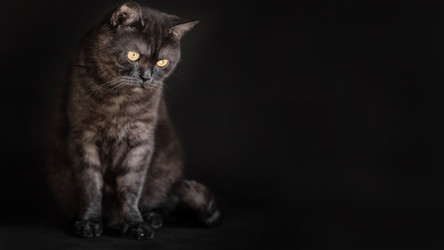 Similar image 21475239