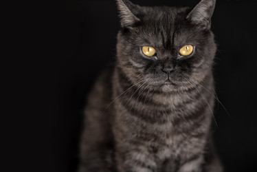 Similar image 21475240