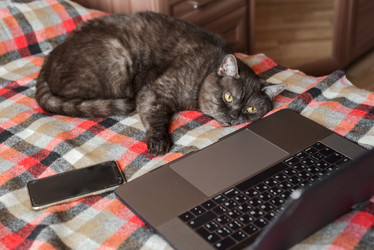 Similar image 21475241