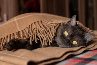 Similar image 21475242