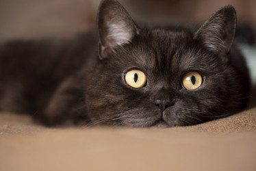 Similar image 21475243