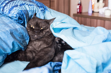 Similar image 21475244