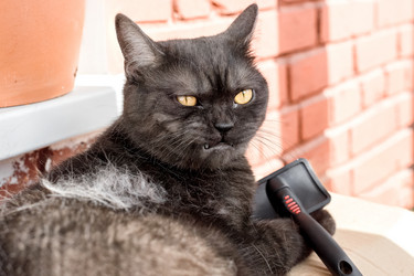 Similar image 21475245