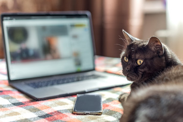 Similar image 21475248