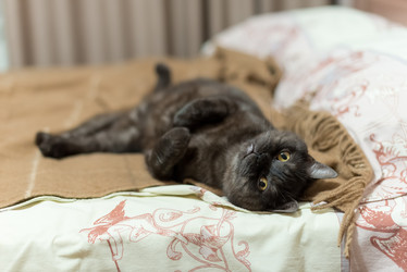 Similar image 21475249