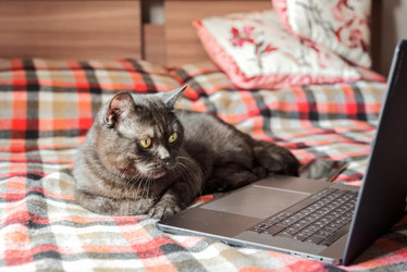 Similar image 21475250