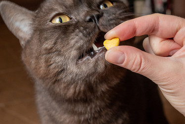 Similar image 21475252