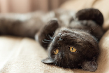 Similar image 21472720