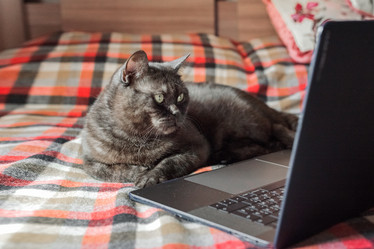 Similar image 21475253