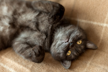 Similar image 21475254