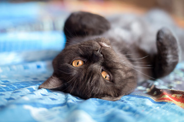 Similar image 21475256