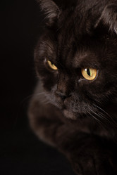 Similar image 21475257