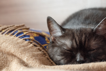 Similar image 21475258