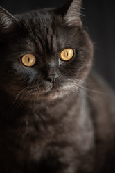 Similar image 21472722