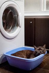 Similar image 21475260