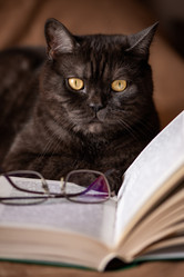 Similar image 21472725