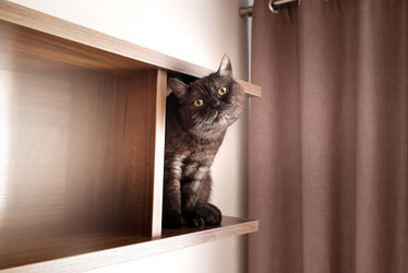 Similar image 21475263