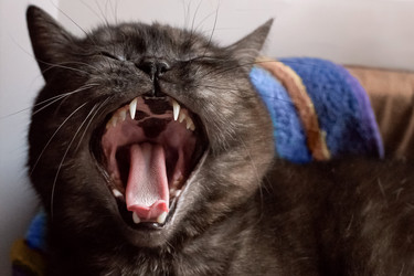 Similar image 21475264