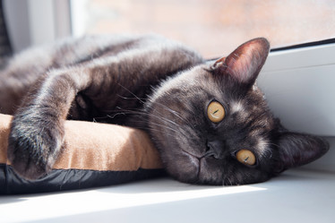 Similar image 21475265