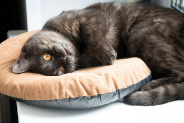 Similar image 21472726