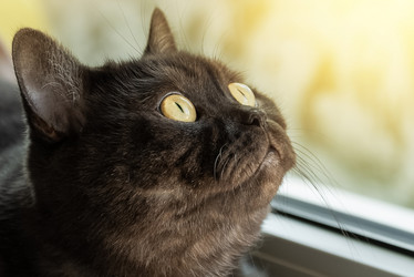 Similar image 21475269