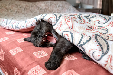 Similar image 21472728