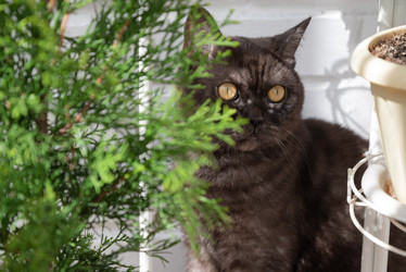 Similar image 21475270