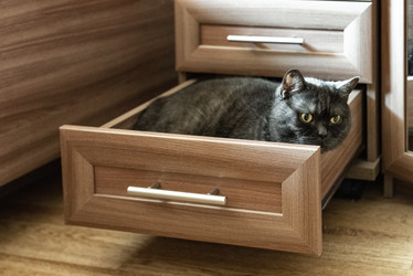 Similar image 21475272